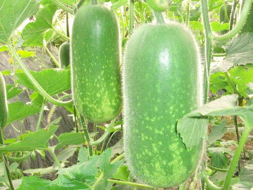 吃瓜娱乐配音制作方法